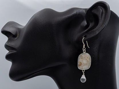 Fossil coral and crystal earrings