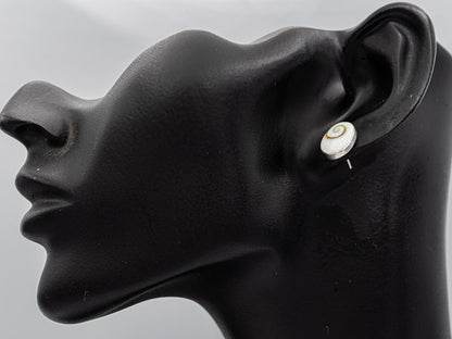 Shiva shell oval studs set in sterling silver