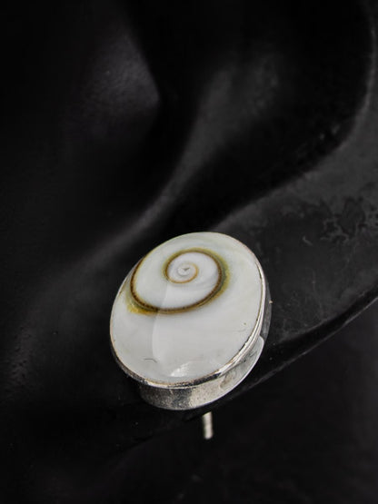 Shiva shell oval studs set in sterling silver